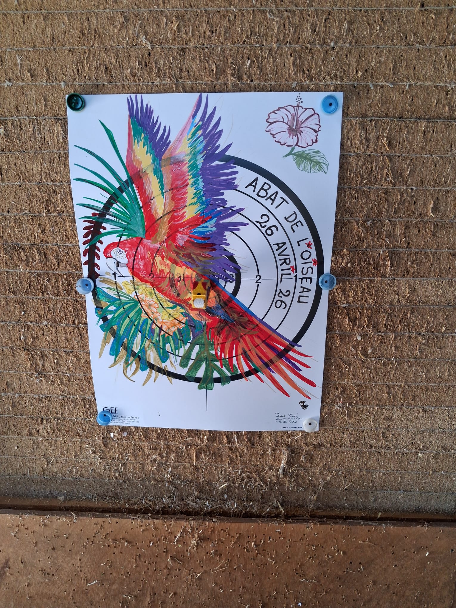 Owl Image